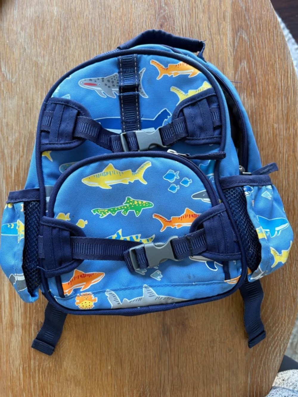 Pottery Barn Kids Backpack